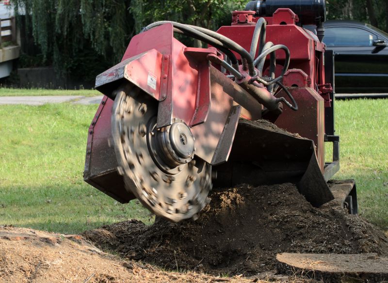 Stump Grinding Services